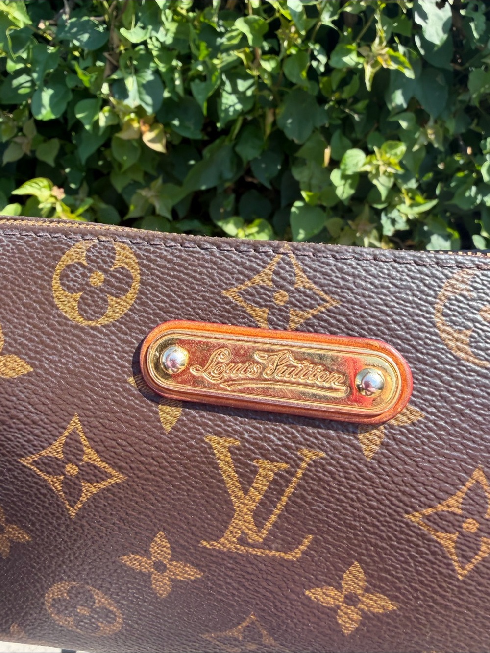 Louis Vuitton Eva Monogram Pochette - Picture 2 of 13